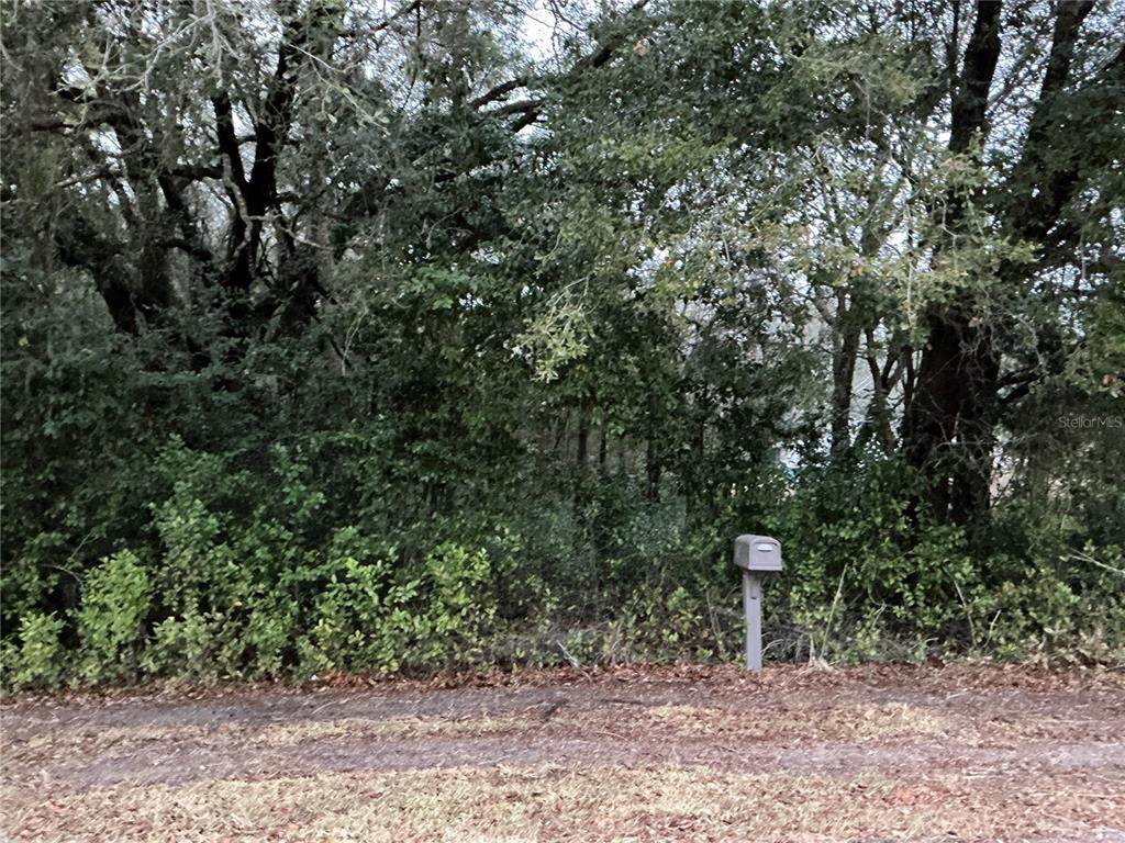 0 143RD Place - Photo 1