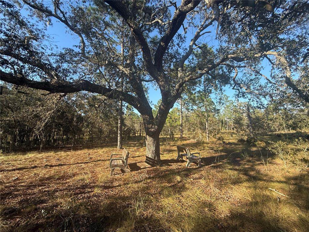 00 73RD Lane - Photo 1
