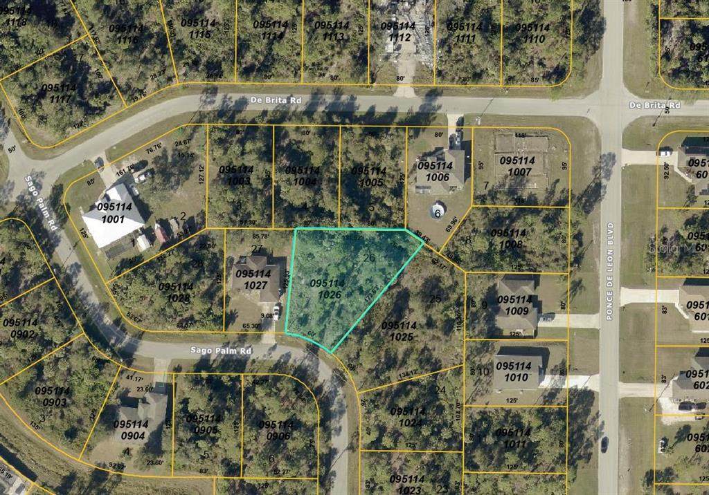  Sago Palm Road - Photo 1