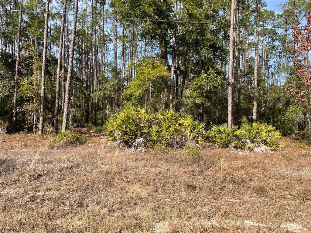 LOT 23 Tiger Lake Boulevard - Photo 1