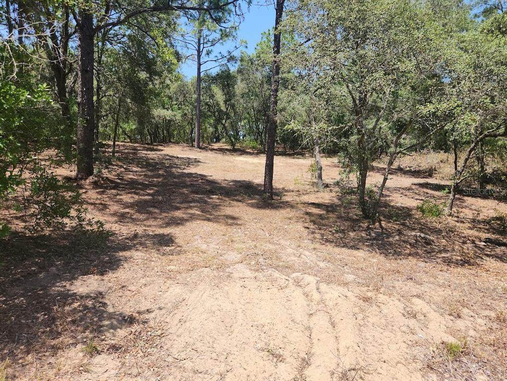Lot 18 Pine Bluffs Road - Photo 1