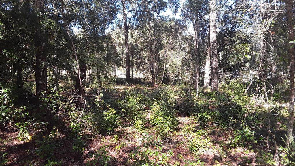 Lot 33 Neptune Boulevard - Photo 1