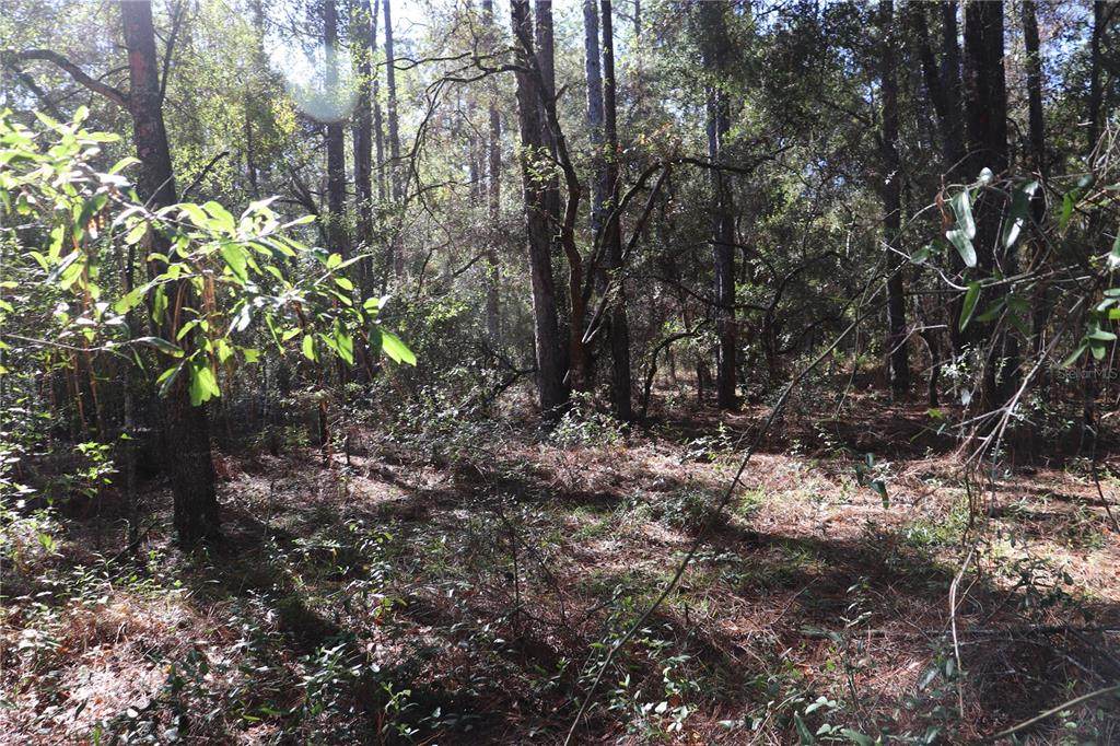 00 39 Street - Photo 1