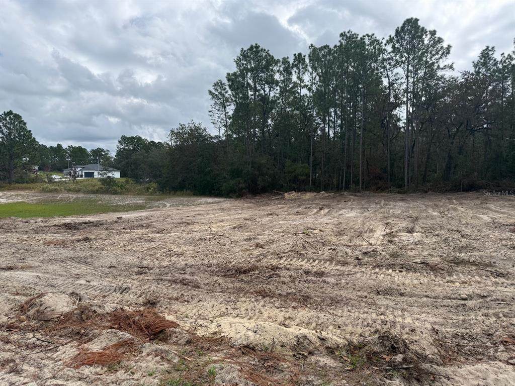  Sw 66Th Ave Rd - Photo 1