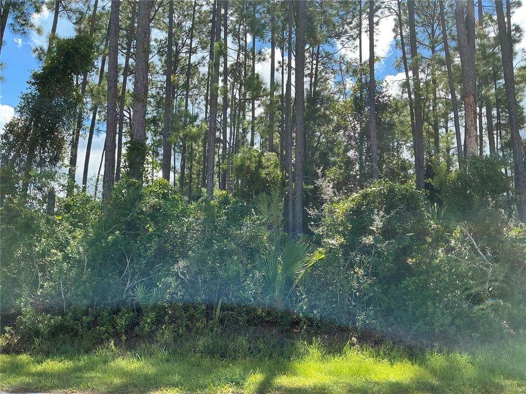 53 Fenwick Lane - Photo 1