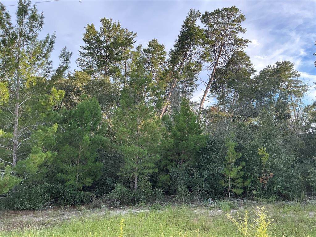 0 112TH Street - Photo 1