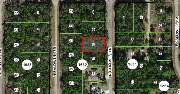 9918 N Caravel - Photo 1