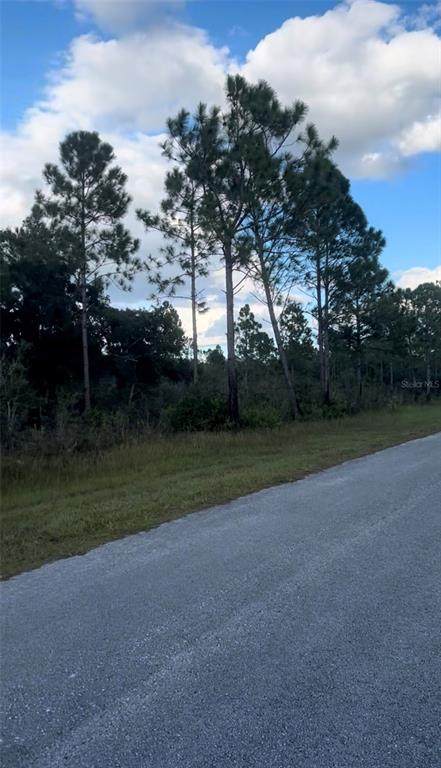 424 Allamanda Drive - Photo 1