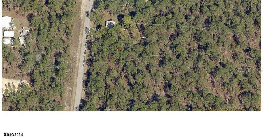 TBD Buena Vista Road - Photo 1