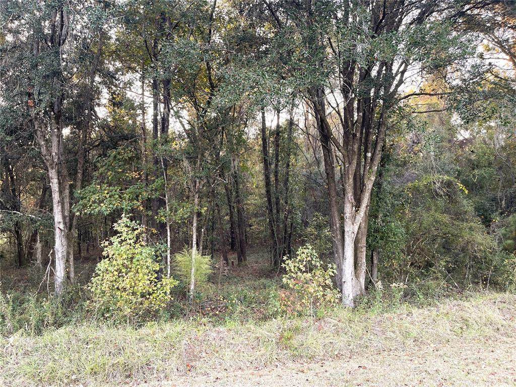  Nw 145Th Ave Lot 25 - Photo 1