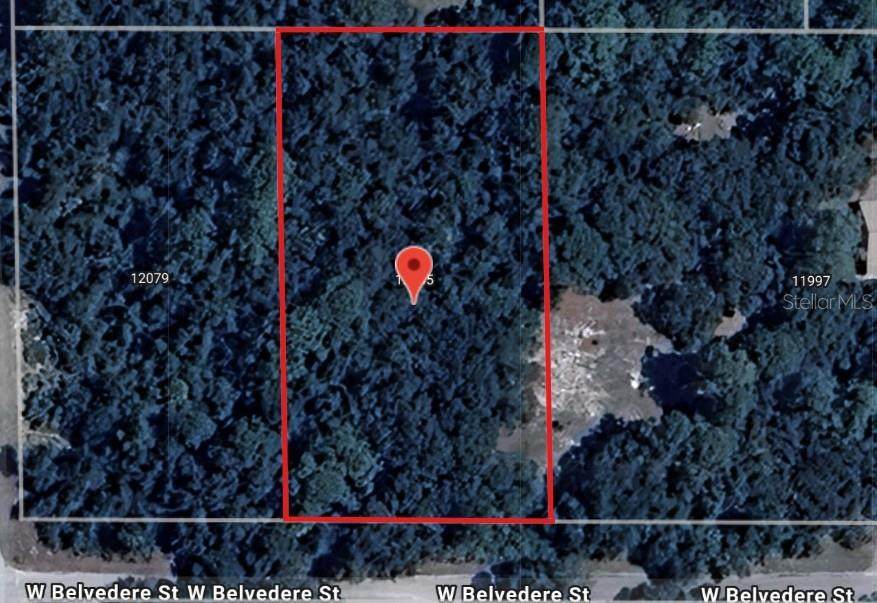 12045 Belvedere Street - Photo 1