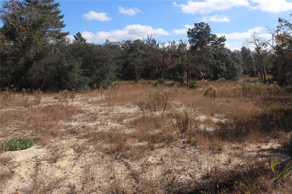 9097 Peewee Point - Photo 1
