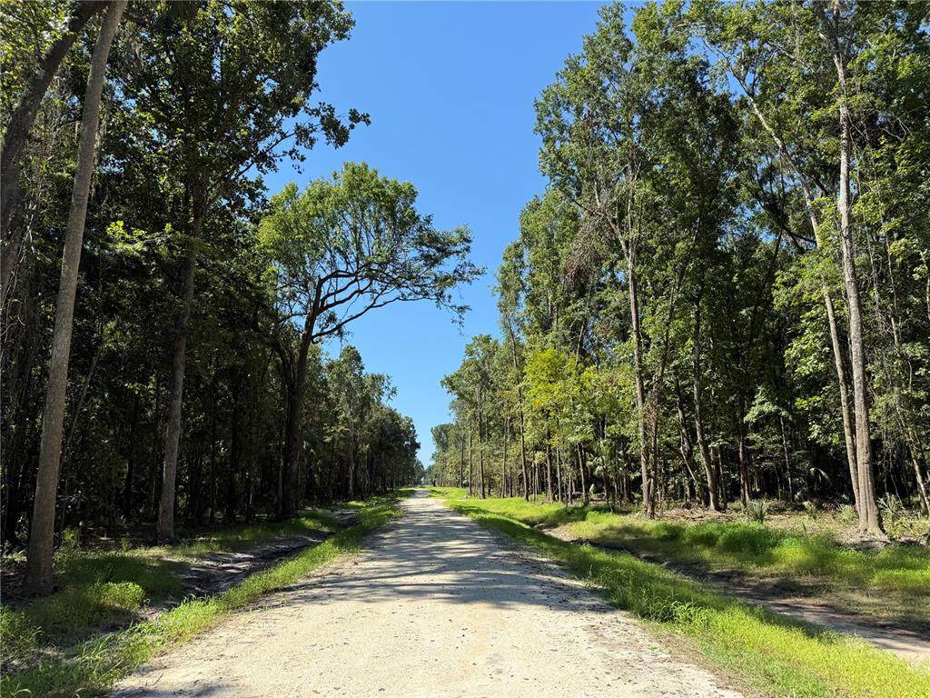 DR #7 (10ac) 193RD ST - Photo 1