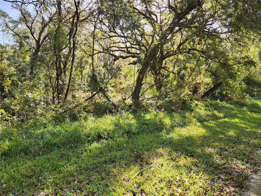 000 Table Rock Drive - Photo 1