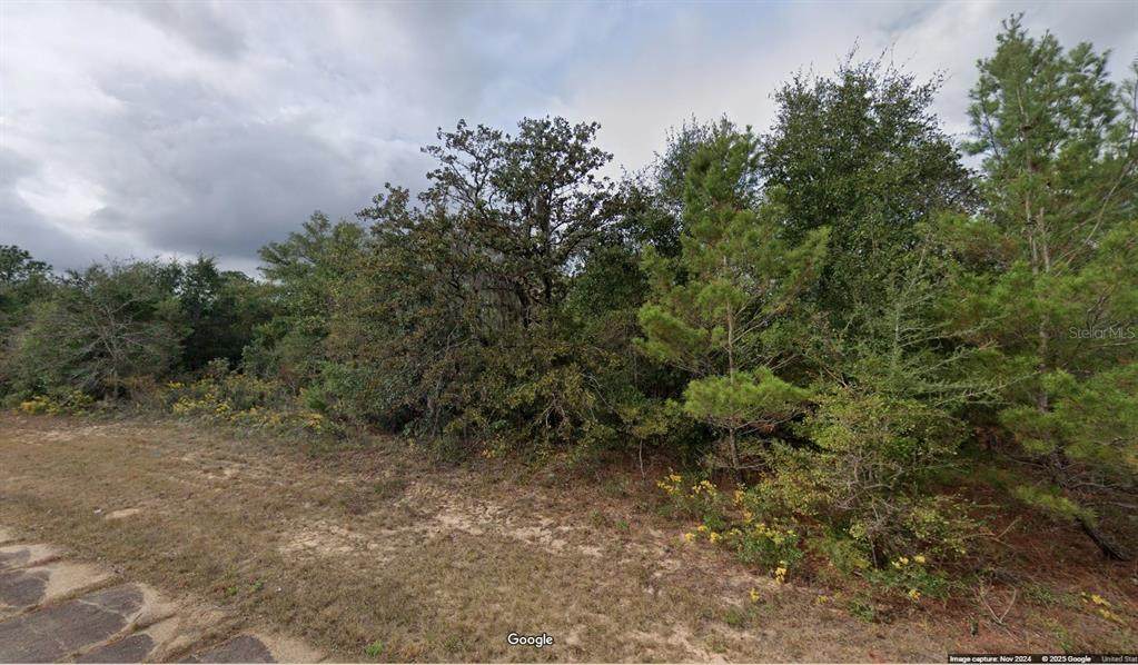 Lot 3 Unit 11 Blk 75 Kapok Avenue - Photo 1