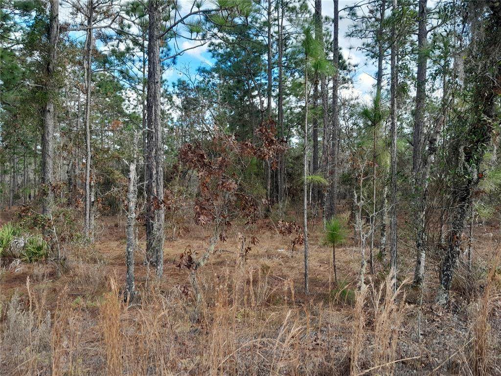 tbd 150TH Avenue - Photo 1