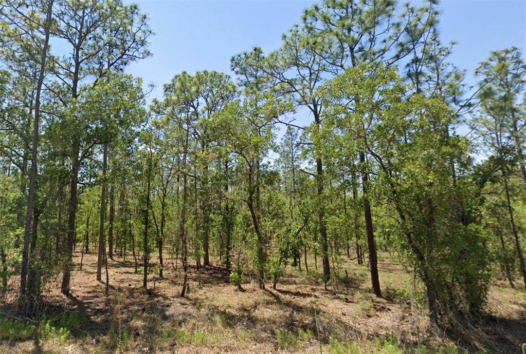 00 Narcissus Road - Photo 1