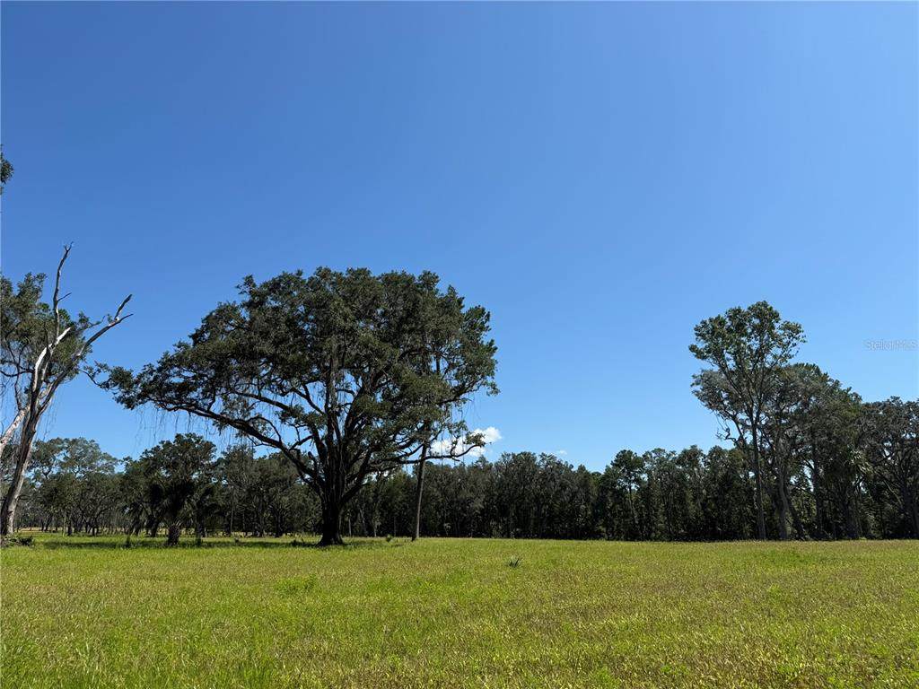 DO #6 (24ac) 193RD ST - Photo 1