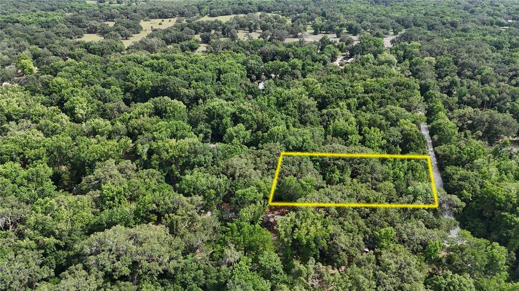 2435 Jennifer Terrace - Photo 1