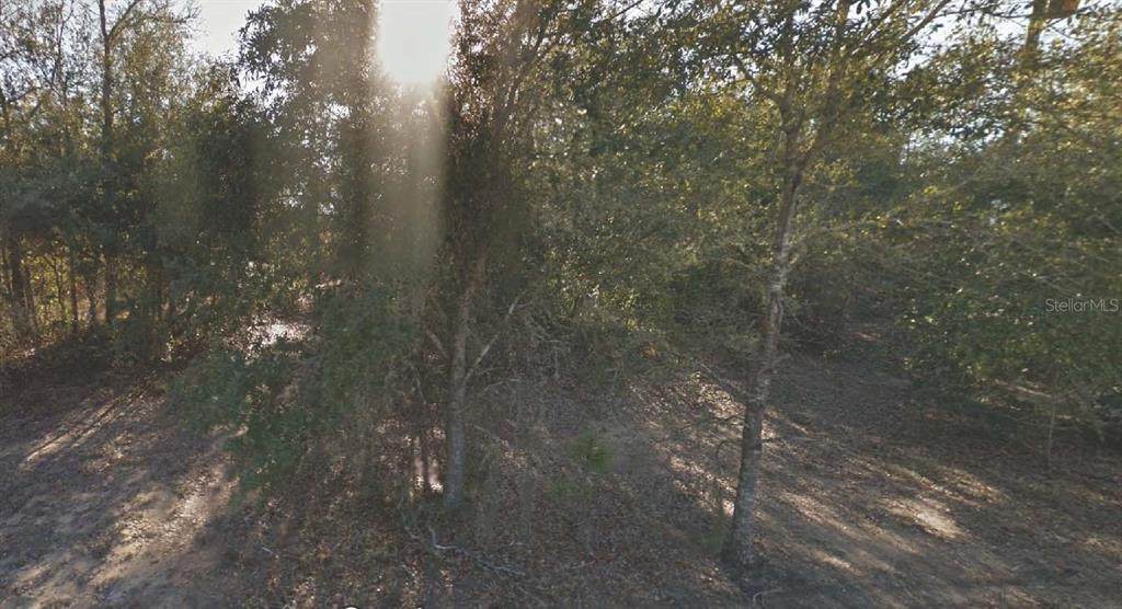 304 California Avenue - Photo 1