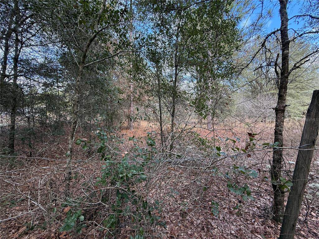 TBD 194TH Street - Photo 1