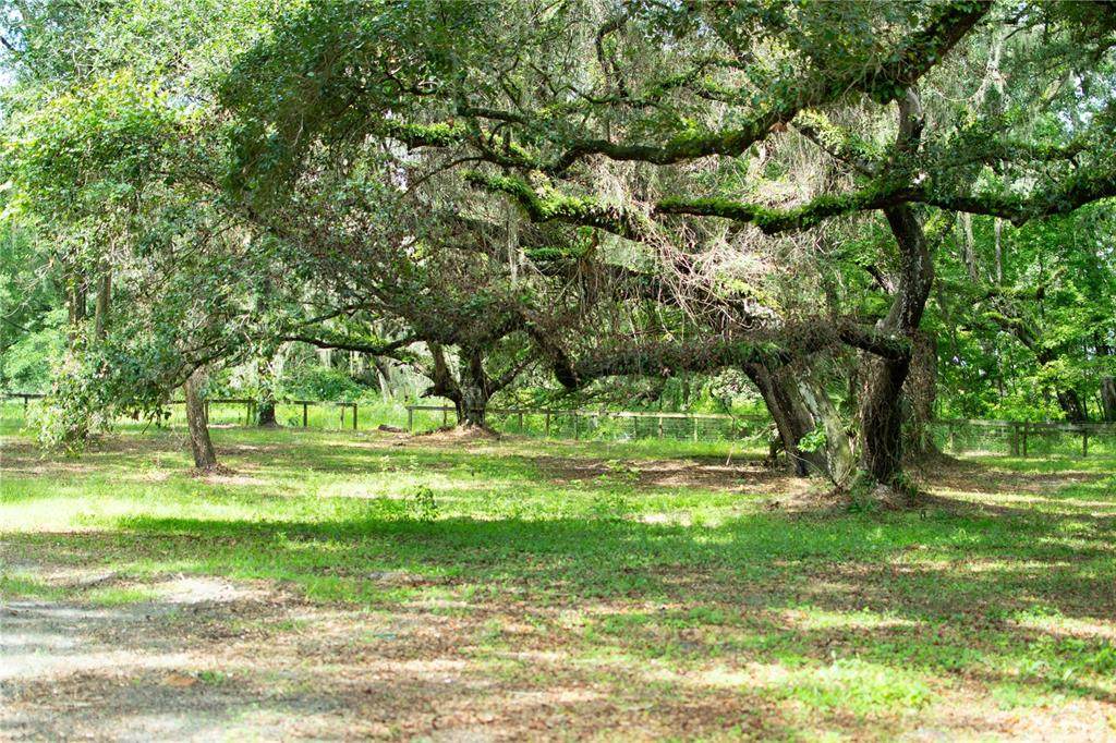 4100 89TH Avenue - Photo 1