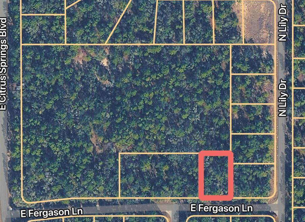 1409 Fergason Lane - Photo 1