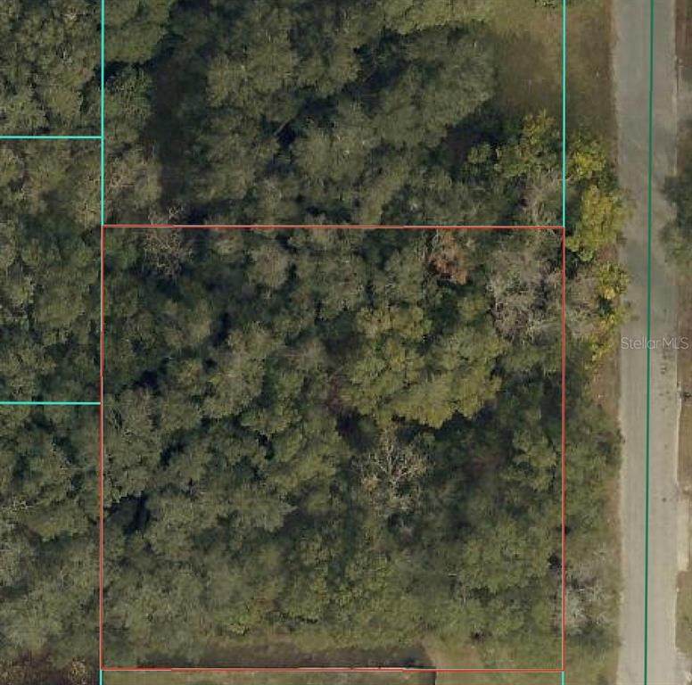 TBD 94 Court - Photo 1