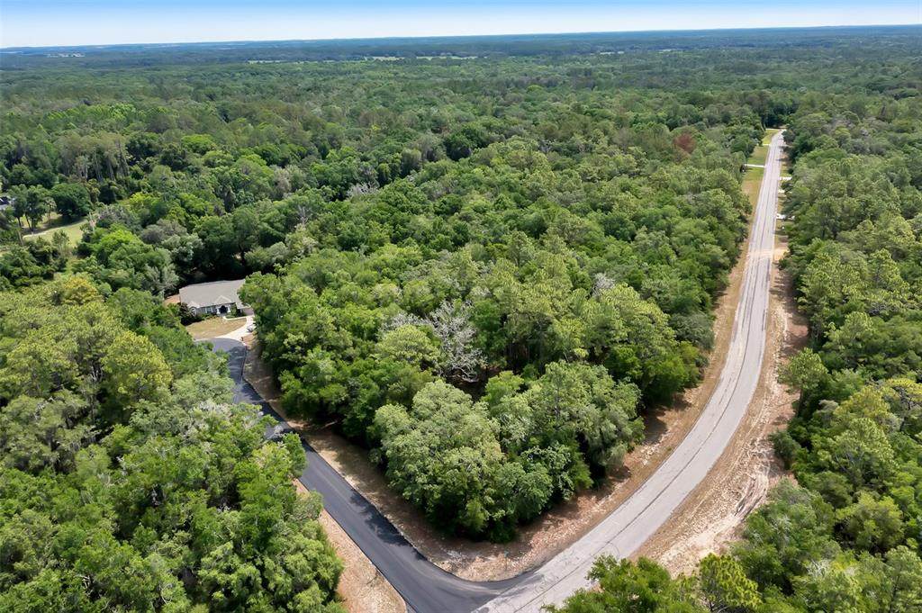 10233 Athenia Drive - Photo 1