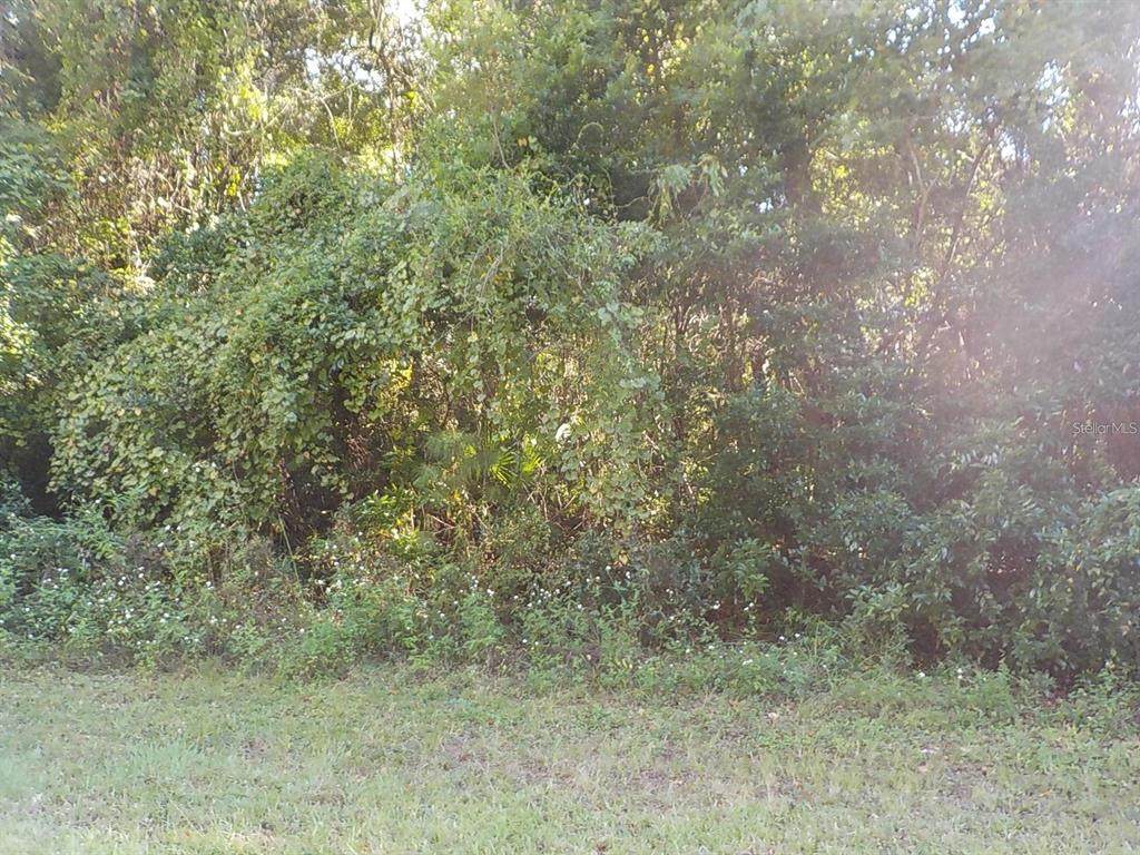 11641 Kenlake Circle - Photo 1