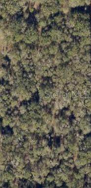 0 Blanton Lane - Photo 1