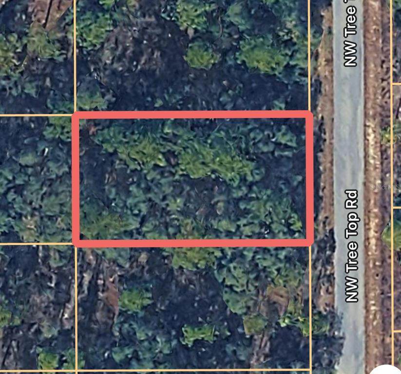 0000 Treetop Road - Photo 1