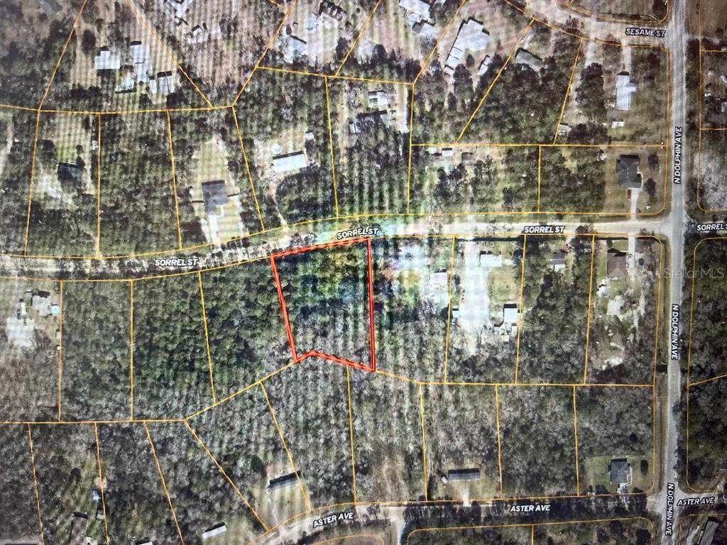 83 Sorrel Street - Photo 1