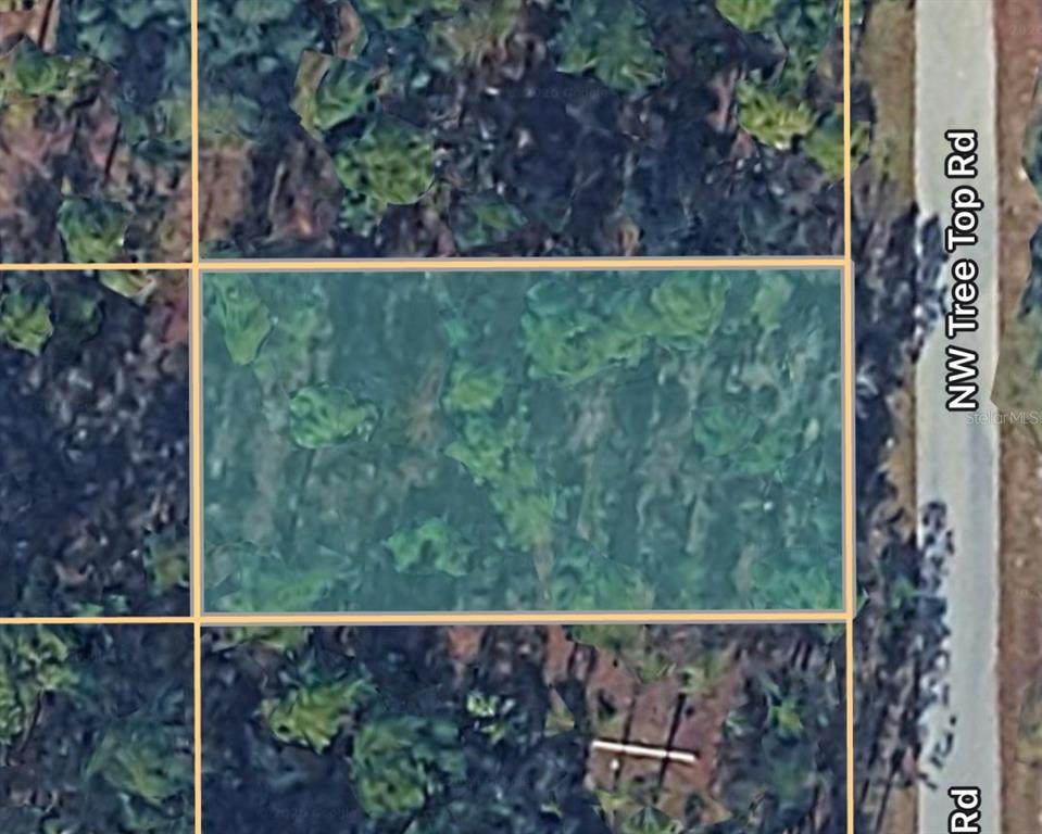 0000 Treetop Road - Photo 1