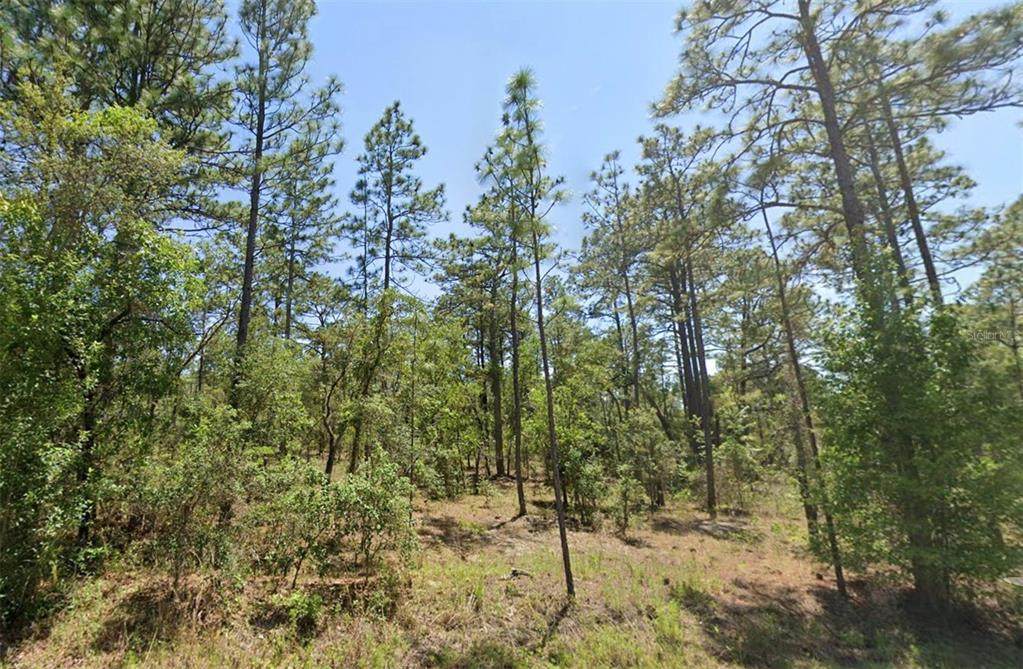 00 Shamrock Avenue - Photo 1