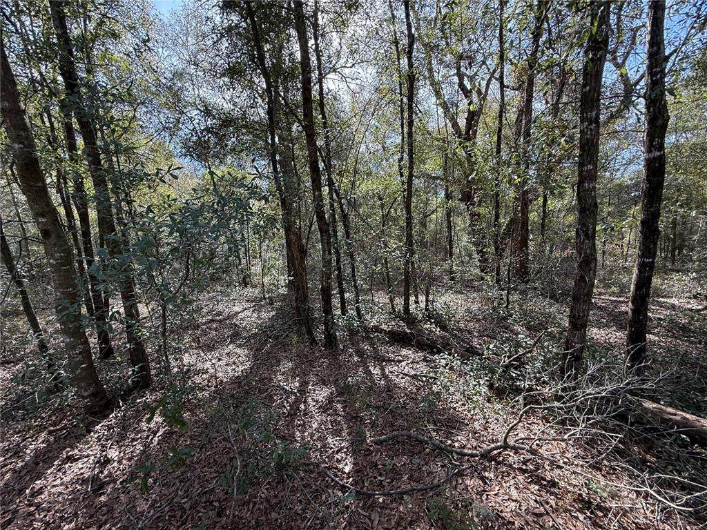 TBD 80TH Street - Photo 1