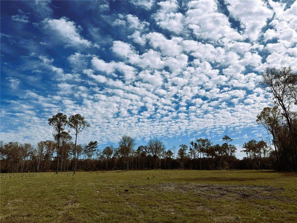 DR #3 (10ac) 193RD ST - Photo 1