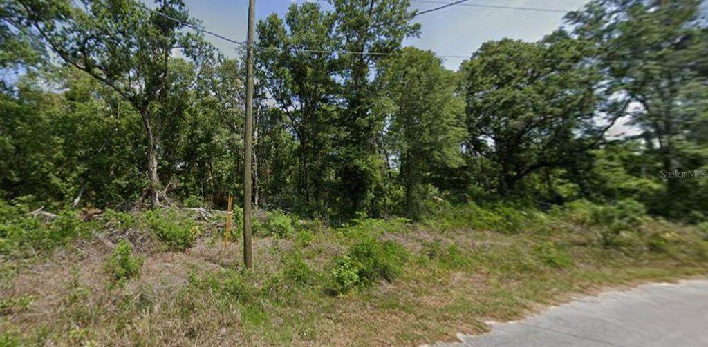 TBD Oak Lane Way - Photo 1