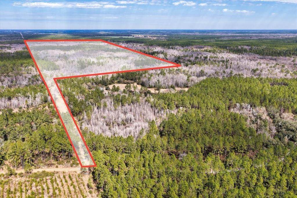 60 Acres Clyatt Road - Photo 1