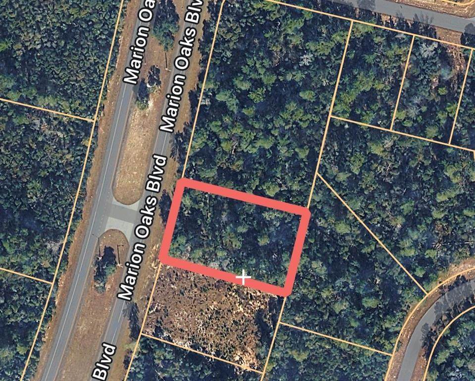 0000 Marion Oaks Boulevard - Photo 1