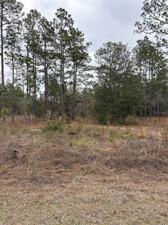 1159 Redwood Drive - Photo 1