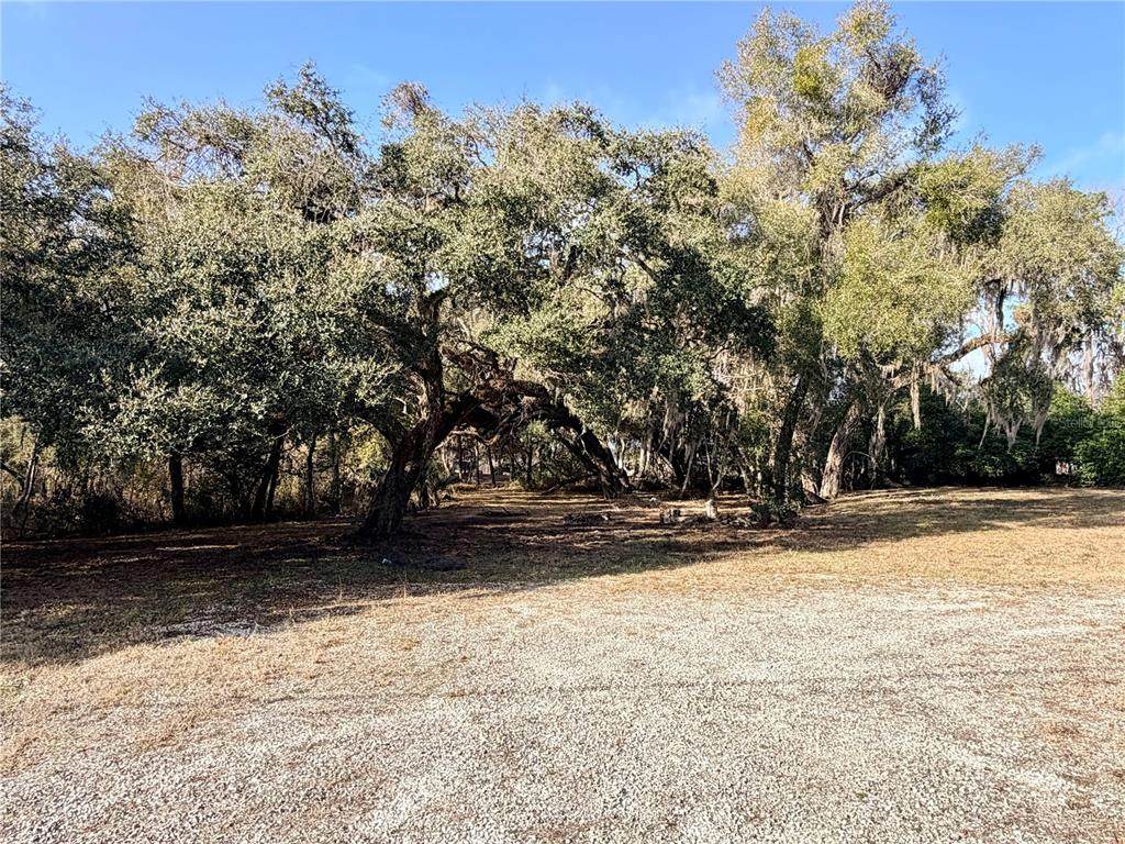 5666 Florida Avenue - Photo 1