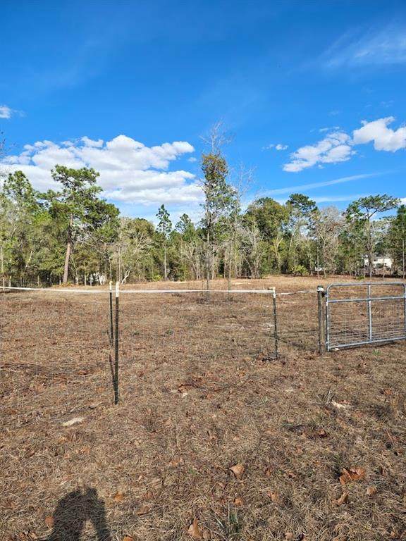 13105 91ST Place - Photo 1