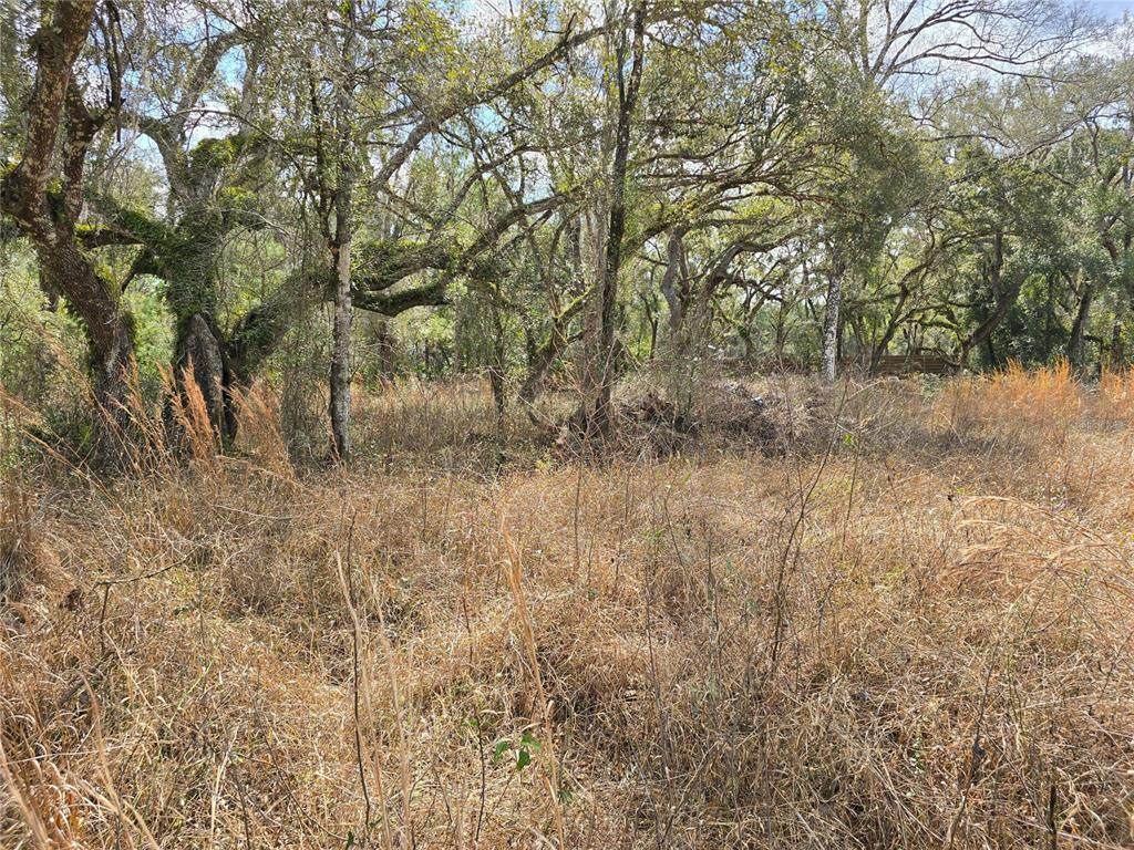 6436 Yam Street - Photo 1