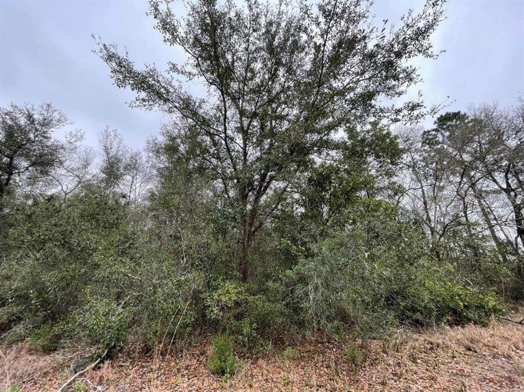 0 128 Avenue - Photo 1