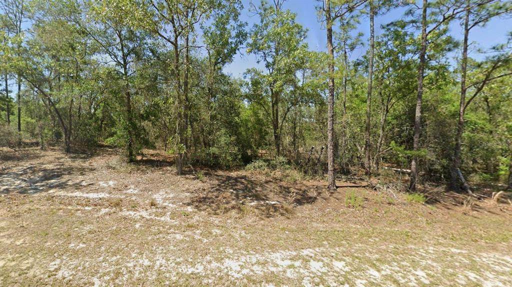 00 Rainbow Lakes Boulevard - Photo 1