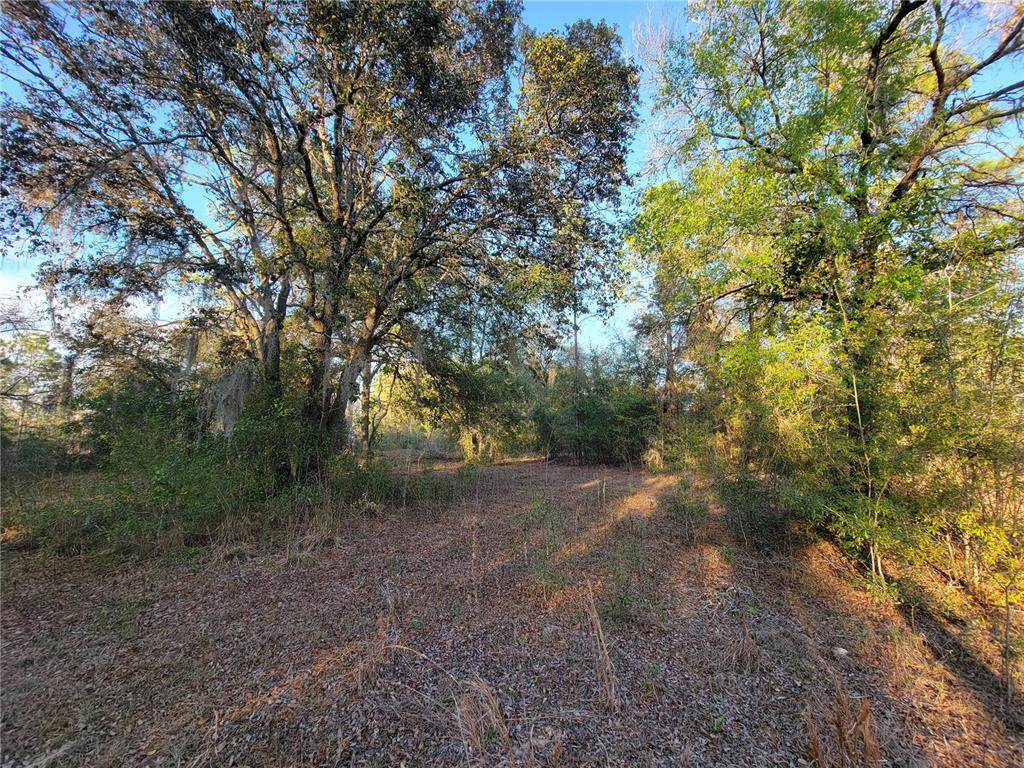 0 20TH Street - Photo 1