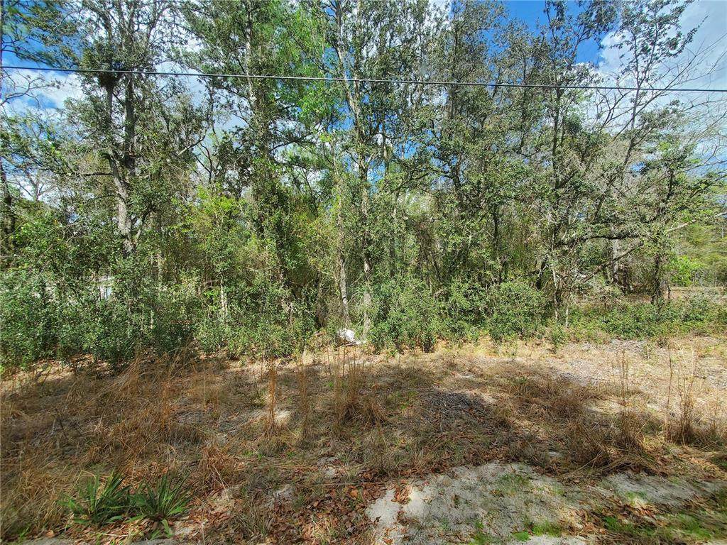  172ND PL LOT 11 - Photo 1