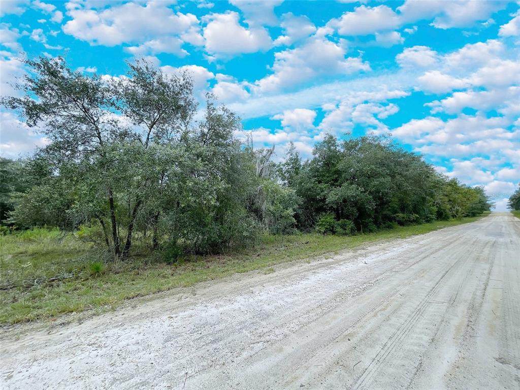 TBD 85TH Street - Photo 1