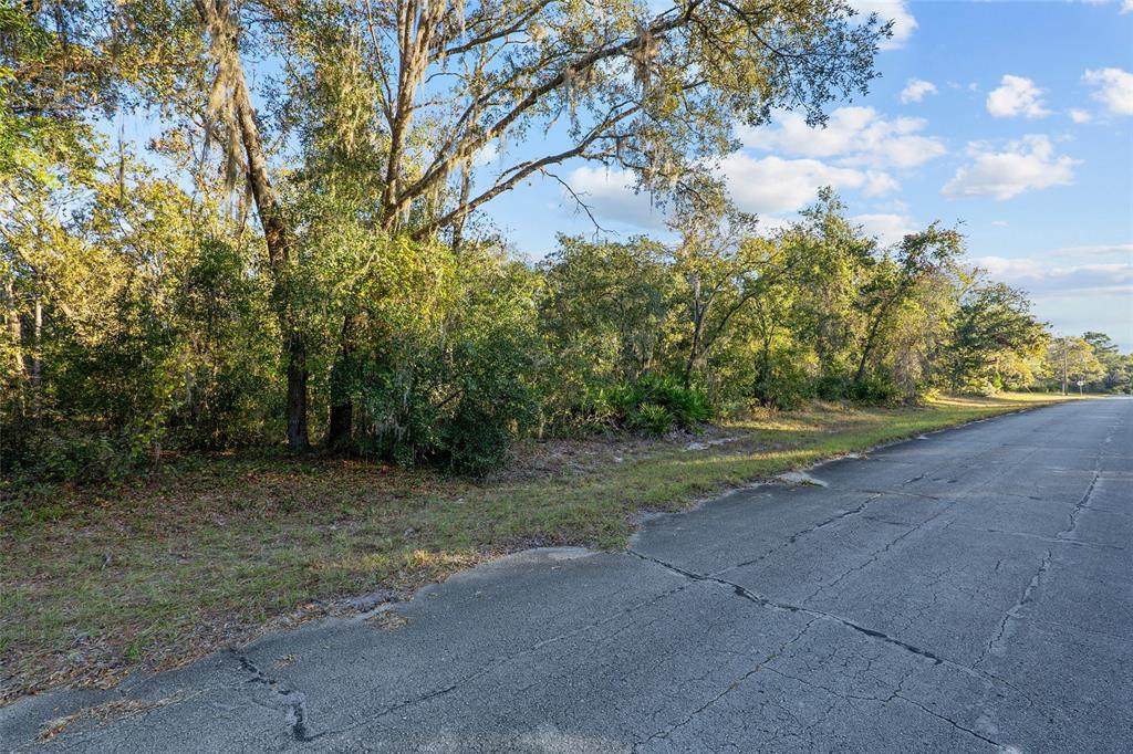 TBD 174 Place - Photo 1